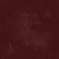 ttJN-C2970 GARNET